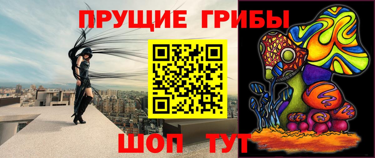 Галлюциногенные грибы Cubensis Пугачёв