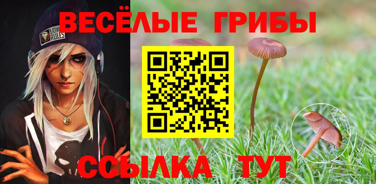 Пугачёв  Галлюциногенные грибы Psilocybine cubensis  Вход с VPN  Галлюциногенные грибы мицелий 